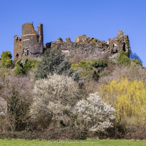 Château de Mauzun mars 2024 by @NataFranceAuvergne-2927